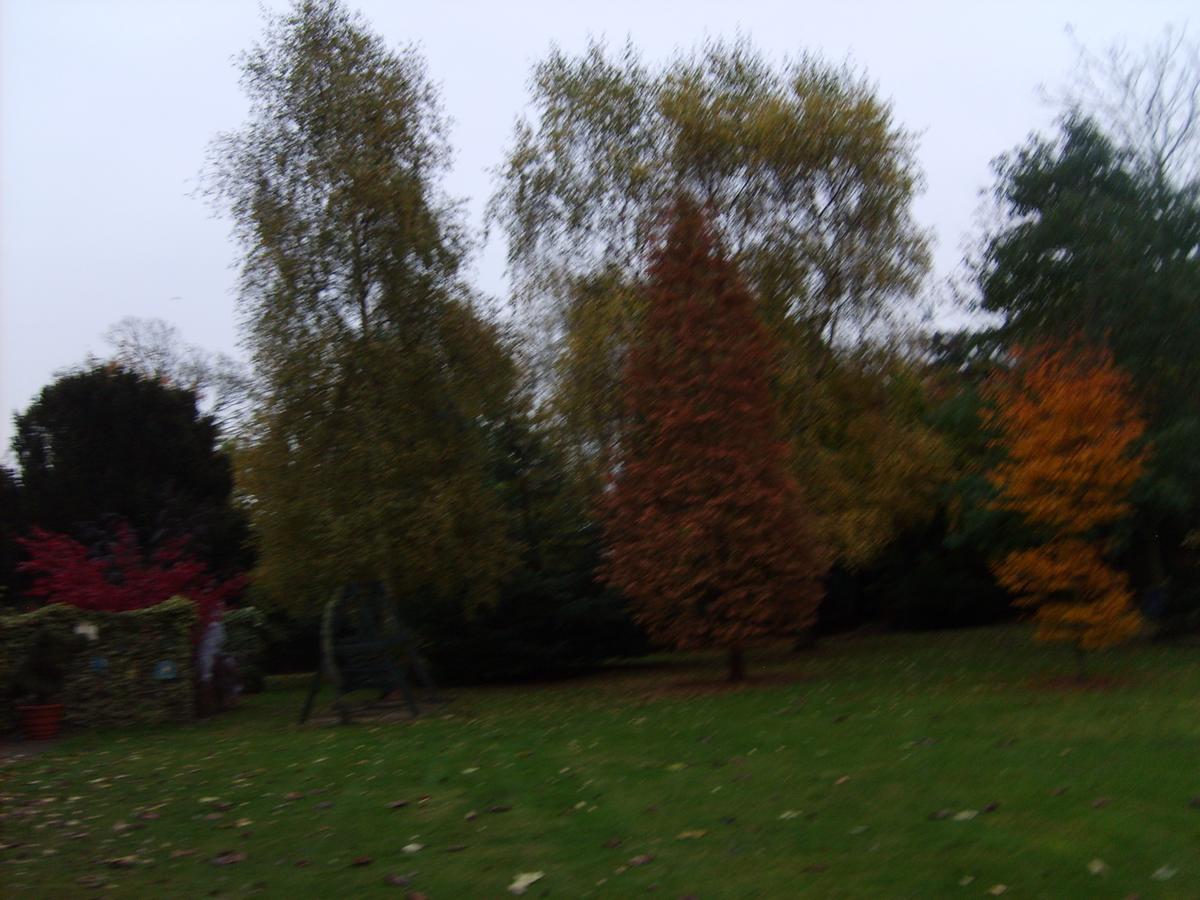Barnfield B&B Saint Osyth ภายนอก รูปภาพ